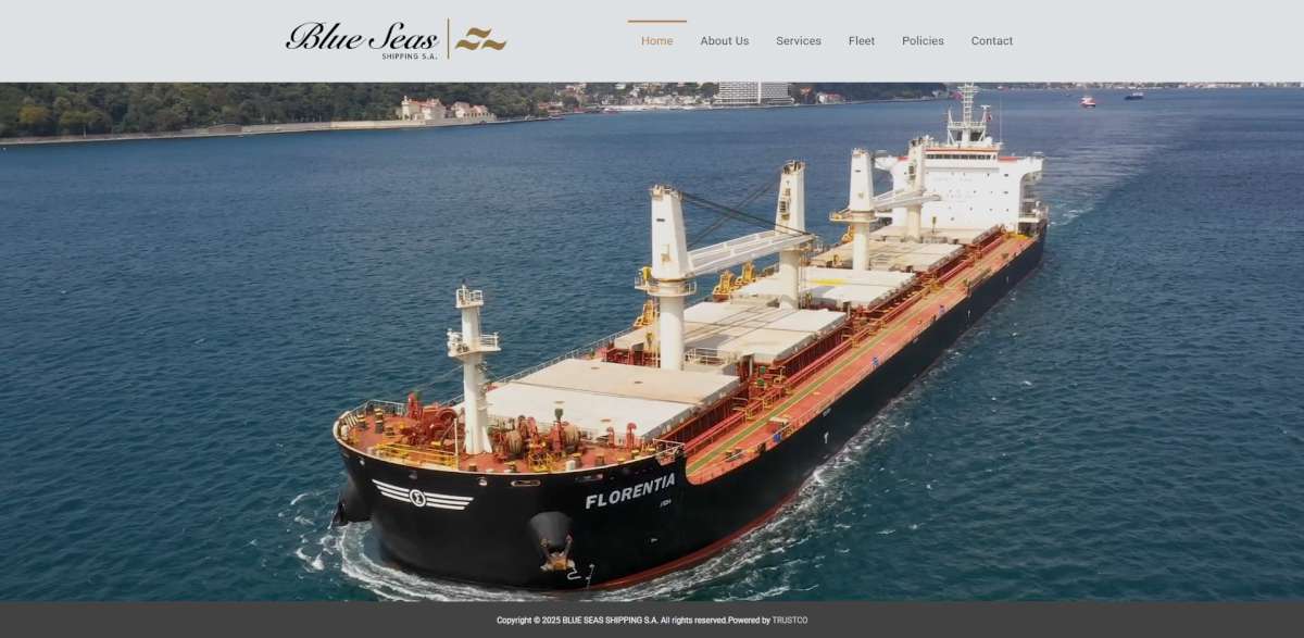 BlueSeas.eu Website Screenshot